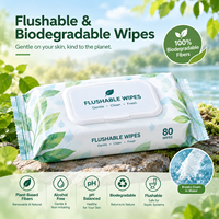 Lingettes jetables écologiques biodégradables Lingettes humides nettoyantes Emballage personnalisé Fournisseur OEM
