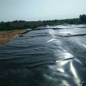 Geosynthetische Pvc Membraan Viskweek Vijver Liner Hdpe Dam Liner Hdpe Geomembranes Vijver Liner Viskwekerij Waterdicht Hdpe - Product Image 2