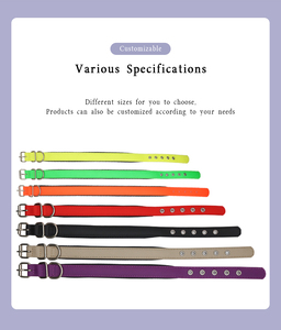 Duurzame <span class=keywords><strong>Eva</strong></span> Plastic Halsband Met Gewatteerde Pvc Gesp Waterdichte Linten Meerdere Kleuren Solide 2-5 Dagen Groothandel - Product Image 3