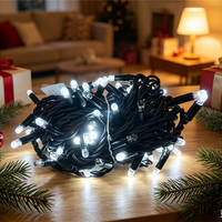 IP67 Wasserdichte Verbindbare LED-Lichterketten Schwarzes Gummikabel Mehrfarbige Außen-Garten-Weihnachts-Festliche Dekorative Beleuchtung
