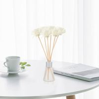 Diffuseur de parfum en rotin pour la maison, bouteille d'huile, décoration de salle de bain, parfum d'intérieur, verre, parfum d'ambiance, luxe, bureau, fleur