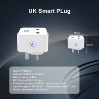 Stop Kontak Pintar Standar Inggris 16A WiFi 2.4GHz Tuya Smart Life dengan Pengukur Daya 3680W untuk Penggunaan Rumah dan Kantor