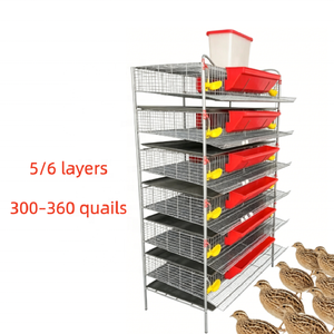 Nuova Area di Allevamento Compatta a 6 Livelli Tipo H per Quaglie, per una Produzione Efficiente di Carne e Uova, Dotata di Mangiatoie Integrate - Product Image 5
