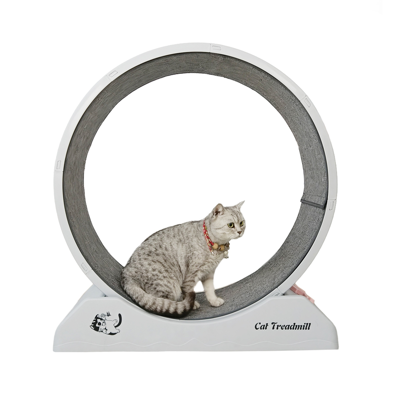2024 New Model Pet Interactive Motion