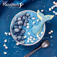 FocusHerb Natuurlijk Biologisch Gecertificeerd Voedingsmiddelkwaliteit Spirulina Extract Blauw Spirulina Poeder E18 Fycocyanine Vloeibaar-Vast Extractie