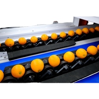 Intelligente Citrus AI-sorteermachine voor defect- en kleursortering voor fruitverpakkingsbedrijven