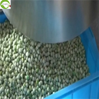Collations alimentaires, collations aux céréales prêtes à manger, enrobées de wasabi vert