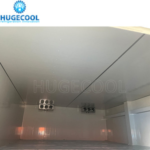 Hugecool personalizado Walk in Cooler Freezer Room Storage Coldroom Cooling Room Chiller Room para Vegerables Fruit - Product Image 2