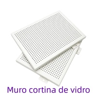 Mur-rideau en verre Low-E à économie d'énergie, mur-rideau en aluminium insonorisé et isolant thermiquement pour la décoration extérieure des hôtels et des villas