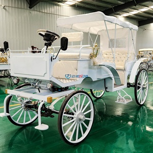 Carro de turismo eléctrico de estilo simple y color blanco a precio de fábrica, clásico vagón europeo cubierto. - Product Image 1