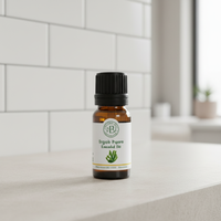 Huile Essentielle de Cyprès OEM du Laboratoire Bahia Certifiée GC/MS Faible Variabilité d'Odeur Durée de Vie de 3 Ans Tous Types de Peau Fabrication de Luxe TN