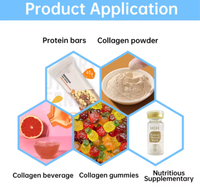 Peptides de collagène pour papier abrasif, protéine hydrolysée de haute pureté pour les compléments alimentaires et l'industrie alimentaire Huaxuan