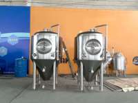 Fermenteur conique 300L avec trappe latérale, isolé et pressurisé, pour la fermentation de la bière, avec pierre de carbonatation, en acier inoxydable, type Unitank