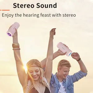 Private Mold 20W Super Stereo Music Bass Subwoofer Lautsprecher Stereo Wireless Lautsprecher Außen lautsprecher