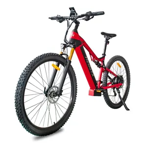 1000W arka motorlu alüminyum alaşımlı dağ elektrikli bisiklet