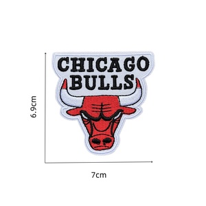 Écussons brodés thermocollants ou à coudre des équipes de basket-ball américaines NBA, badges pour vêtements, chapeaux, sacs, décoration DIY - Product Image 6