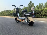 Venta Directa de Fábrica, Bicicleta Eléctrica Urbana de 48V 20AH 400W con Frenos de Tambor 110, Certificación CE, Xingjian