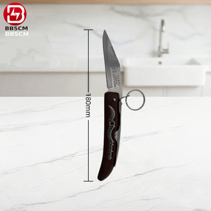 Portable Wooden Handle Keychain Folding <b>Knife</b> EDC Camping Portable Utility <b>Knife</b> Stainless Steel <b>Knife</b> - Product Image 2