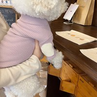 Printemps automne vêtements pour animaux de compagnie chien chat doux confortable pull combinaison maison costume quatre pattes mignon sweats à capuche chien tissu