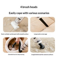 Appareil d'aspiration électrique portable pour animaux de compagnie, éliminateur de poils de chien et de chat, grande puissance d'aspiration, grattoir de nettoyage, produits de nettoyage