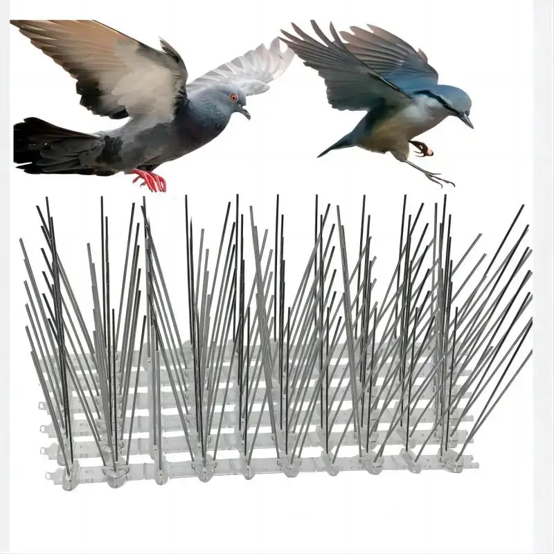 Qiao Liang Basis ist Kunststoff Basis Pigeon Bird Spike Anti Bird Spikes Pigeon Deter rent Bird Control Lieferanten