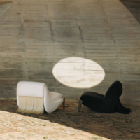 Fauteuil lounge moderne en velours et crin de cheval, fauteuils d'appoint en bois doux pour appartement, salle à manger, salon, chambre à coucher, faits à la main