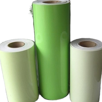 Bande fluorescente en PVC autoluminescente pour la décoration des escaliers de scène, surface de brouillard lumineux, qualité antidérapante disponible en différentes tailles