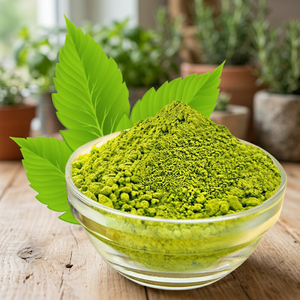 Produit phare : Snack de maïs croustillant Premium Pudina Blast Seasoning Masala, saveur menthe fraîche rafraîchissante, épice séchée de style indien - Product Image 1