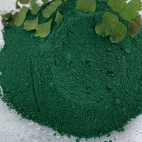 Pigment Poudre Oxyde de Fer Vert 5605 Peinture Ciment Béton Brique Asphalte