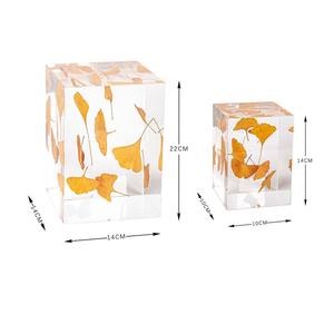 Adorno Decorativo Rectangular de Acrílico con Hojas de Ginkgo, Regalo Moderno de Lujo Ligero para el Hogar, Sala de Estar, Entrada - Product Image 5