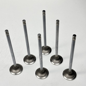 Ensemble de 6 soupapes d'admission R520223 pour 9780 CTS 9780I Cts C670 CH570 CH670 E400 - Product Image 3