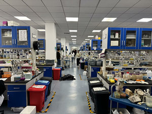 Vitamines de qualité alimentaire pour crevettes <span class=keywords><strong>Enzymes</strong></span> composites digestifs pour crevettes Bacillus Subtilis pour améliorer l'épaisseur des intestins et stimuler l'apport - Product Image 4