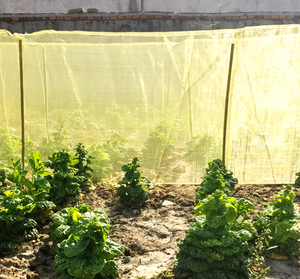 Malla Protectora <span class=keywords><strong>para</strong></span> Jardín, Anti-Insectos, <span class=keywords><strong>para</strong></span> Verduras, Frutas y Plantas, Protege de Pájaros e Insectos, Reutilizable y Transpirable - Product Image 4