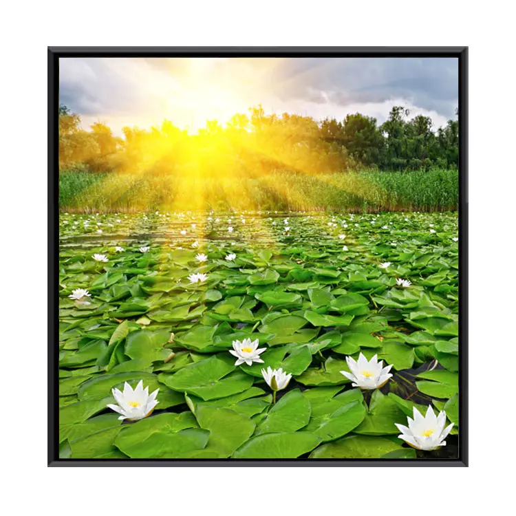 Custom Digital Print Lotus Flower Picture Art Decor Painting Canvas Printing