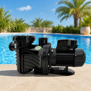 CADISDON Energy Efficient <b>Pool</b> <b>Pump</b> Above Ground <b>Pool</b> With <b>Pump</b> And Filter 1HP2HP3HP - Product Image 1