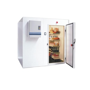 Ruixue Chất Lượng Cao Một Giải Pháp Tùy Chỉnh Di Động Phòng Lạnh Đi Bộ Trong Tủ Đông Cho Đóng Băng Thực Phẩm Một Cách Nhanh Chóng - Product Image 1