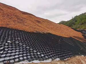 HDPE geocell giữ lại bức tường nhựa cảnh quan lưới 3D mô hình Giải pháp thiết kế cho sỏi ổn định - Product Image 5