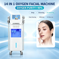 Appareil de soin du visage à oxygène 14 en 1, jet d'oxygène à haute pureté 90%, peeling profond, hydratation, blanchiment, équipement de soin du visage, spa