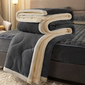 Cálido <span class=keywords><strong>invierno</strong></span> grueso edredón de franela juego de <span class=keywords><strong>cama</strong></span> terciopelo Sherpa Faux Wool Down edredón alternativo edredón - Product Image 5