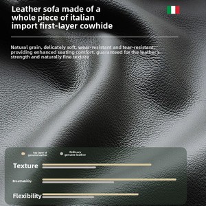 États-Unis <span class=keywords><strong>Canapé</strong></span>-lit Chesterfield en cuir pleine fleur avec cadre en bois réglable électriquement pour salons intelligents - Product Image 5