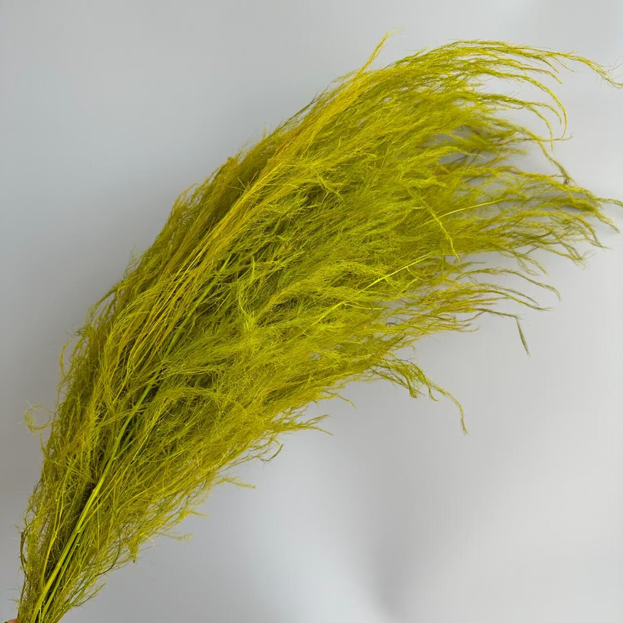 Jaune-vert