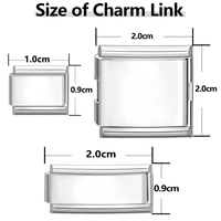 Bracelet haut de gamme détachable en acier inoxydable électroplaqué, style basique, tendance, italien, et d'inspiration chinoise.