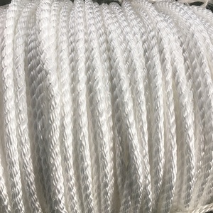 Bao Bì Dây Mạnh Mẽ 12Mm 3 Sợi Danline Twist Polypropylene <span class=keywords><strong>PP</strong></span> Dây Cường Độ Cao Dây Câu Cá <span class=keywords><strong>8Mm</strong></span> 10Mm Miễn Phí Giao Hàng Corde - Product Image 2