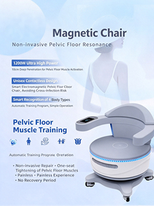 Silla de Terapia Magnética de Grado Comercial para Servicios de Salud Femenina Multipropósito - Product Image 6
