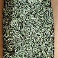 Vente en gros Nouvelle Feuille de Stevia en vrac 500g Thé en vrac Stevia séché Anhui Durée de conservation 12 mois Réfrigéré Promotion