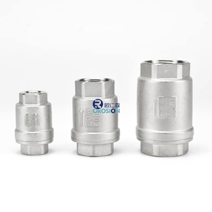 Hot Bán Thép Không Gỉ 201 304 316 Một Cách Không Trở Lại Kiểm Tra Van Npt Bsp Threaded Mùa Xuân Tải Dọc Kiểm Tra Van - Product Image 1