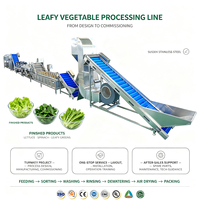 Turnkey-oplossing bladgroente- en fruitsojabonen productielijn automatische groentewas-, snij-, droog- en verpakkingsmachine motor