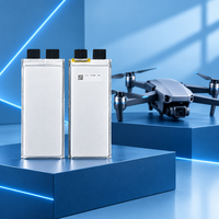 Sel Baterai Semi Solid State Densitas Energi Tinggi 355Wh/kg 22000mAh 3.7V 5C Siap Kirim untuk Drone FPV & Survei