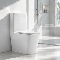 Nouvelle toilette en céramique de haute qualité pour salle de bain, design sans rebord, deux pièces, avec réservoir
