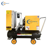 Compresseur d'air à vis stationnaire LINGYUE 22KW 50HZ à raccordement direct, double réservoir, 380V, prêt à l'emploi, moteur refroidi par air